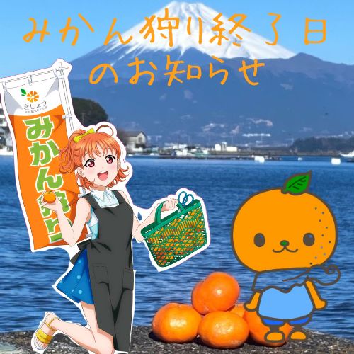 みかんママ 000000001164-01-xl.jpg?t=